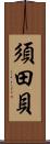 須田貝 Scroll