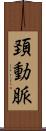 頚動脈 Scroll