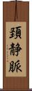 頚静脈 Scroll