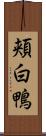 頬白鴨 Scroll
