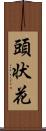 頭状花 Scroll
