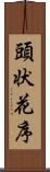 頭状花序 Scroll