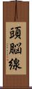 頭脳線 Scroll