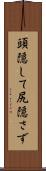 頭隠して尻隠さず Scroll