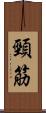 頸筋 Scroll