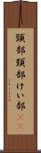 頸部 Scroll