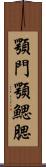 顎門 Scroll