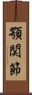 顎関節 Scroll