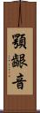 顎齦音 Scroll
