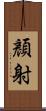 顏射 Scroll