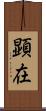 顕在 Scroll