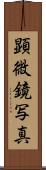 顕微鏡写真 Scroll