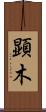顕木 Scroll