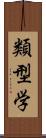 類型学 Scroll