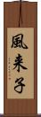 風来子 Scroll
