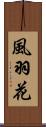 風羽花 Scroll