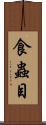 食蟲目 Scroll