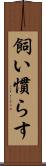 飼い慣らす Scroll