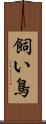 飼い鳥 Scroll