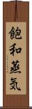 飽和蒸気 Scroll