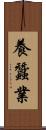 養蠶業 Scroll