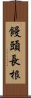 饅頭長根 Scroll