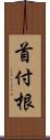 首付根 Scroll