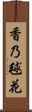 香乃毬花 Scroll