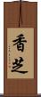 香芝 Scroll
