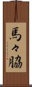 馬々脇 Scroll