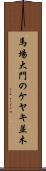 馬場大門のケヤキ並木 Scroll