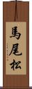 馬尾松 Scroll