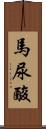 馬尿酸 Scroll