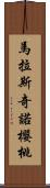 馬拉斯奇諾櫻桃 Scroll
