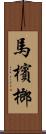 馬檳榔 Scroll