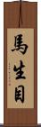 馬生目 Scroll
