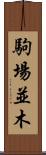 駒場並木 Scroll