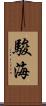 駿海 Scroll