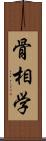 骨相学 Scroll