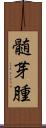 髄芽腫 Scroll
