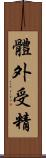 體外受精 Scroll