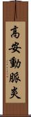 高安動脈炎 Scroll