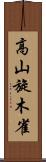 高山旋木雀 Scroll