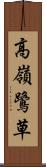 高嶺鷺草 Scroll