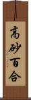 高砂百合 Scroll