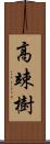 高竦樹 Scroll