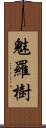 魅羅樹 Scroll