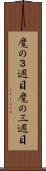 魔の３週目 Scroll