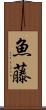 魚藤 Scroll