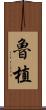 魯植 Scroll